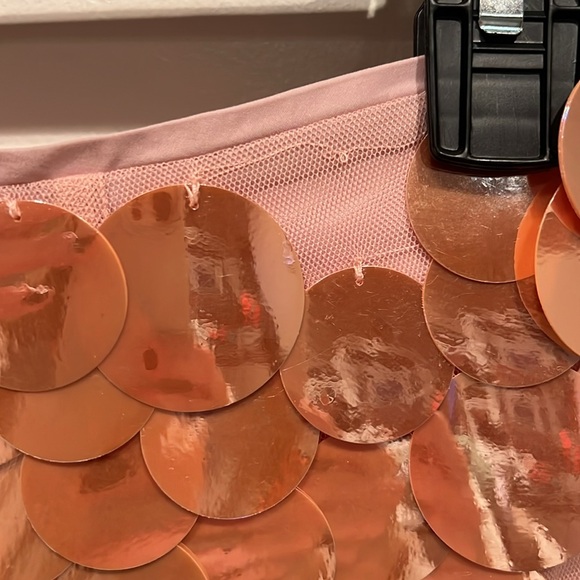 NWT J Crew Collection blush-colored sequin mini skirt. - Picture 2 of 5